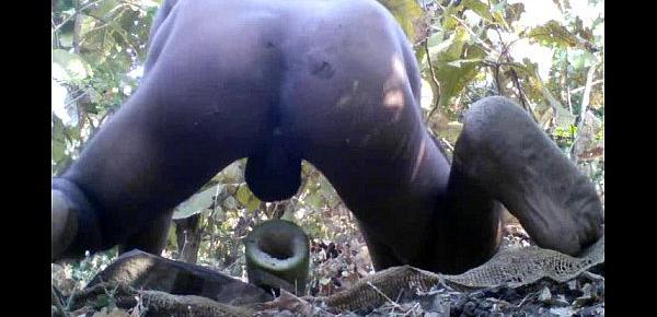  Tarzan Boy Sex In The Forest Wood